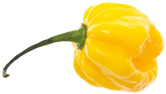 Lemon Habañero Hot Pepper, 25 Heirloom Seeds Per Packet, Non GMO Seeds