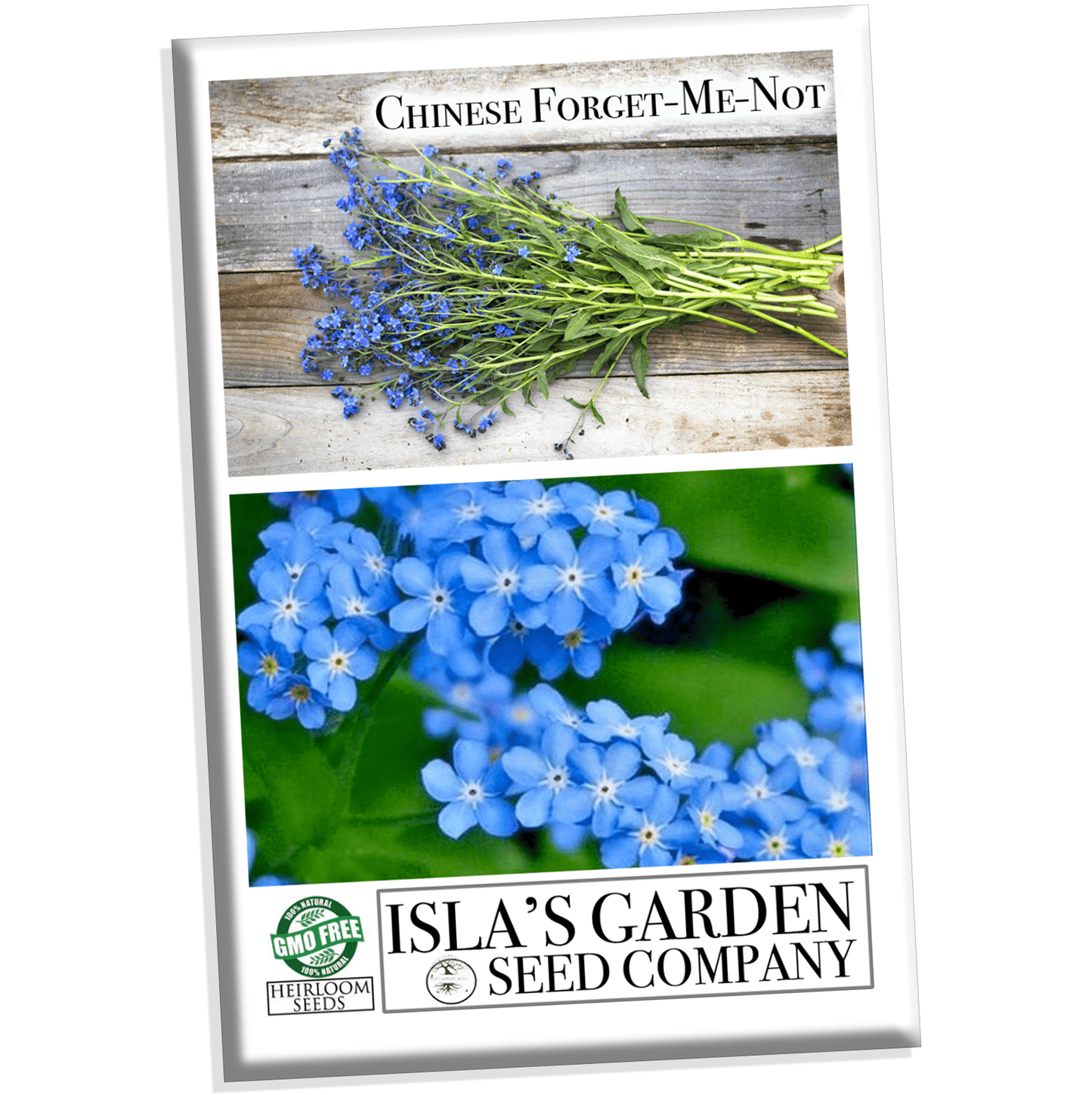 Forget Me Not Blue Flower Seeds – Gran's Garden Seeds