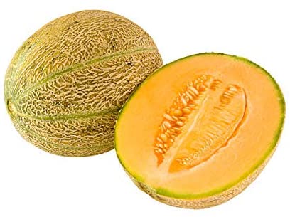 Honey Rock Cantaloupe, 50 Heirloom Seeds Per Packet, Non GMO Seeds