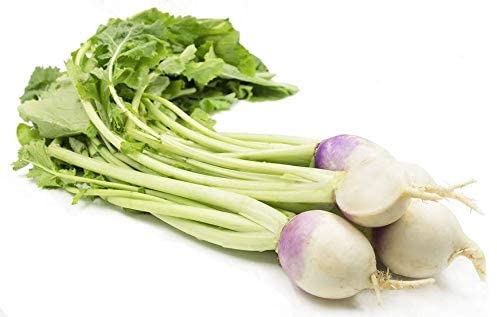 Purple Top Turnip, 1000 Heirloom Seeds Per Packet, Non GMO Seeds