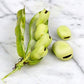 Aquadulce Fava Bean, 25 Heirloom Seeds Per Packet, Non GMO Seeds