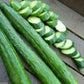 Armenian Dark Green Slicing Cucumber