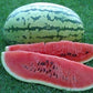 Striped Klondike Watermelon
