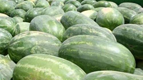 Congo Watermelon, 25 Heirloom Seeds Per Packet, Non GMO Seeds