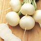 Ping Pong Radish, 100 Heirloom Seeds Per Packet, Non GMO Seeds