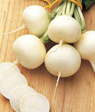 Ping Pong Radish, 100 Heirloom Seeds Per Packet, Non GMO Seeds
