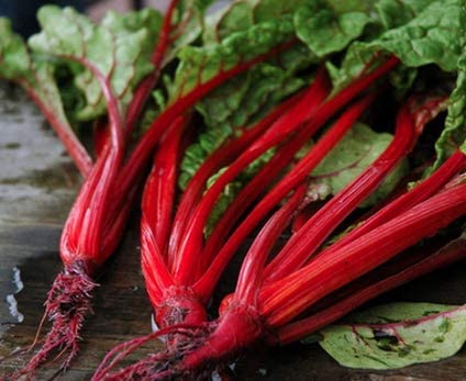 Ruby Red Swiss Chard, 300 Heirloom Seeds Per Packet, Non GMO Seeds