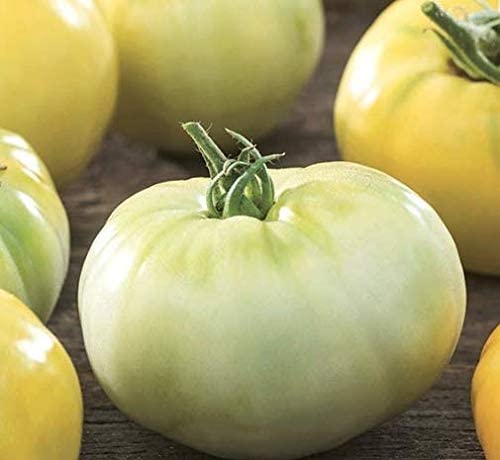 Beefsteak White Tomato, 50 Heirloom Seeds Per Packet, Non GMO Seeds