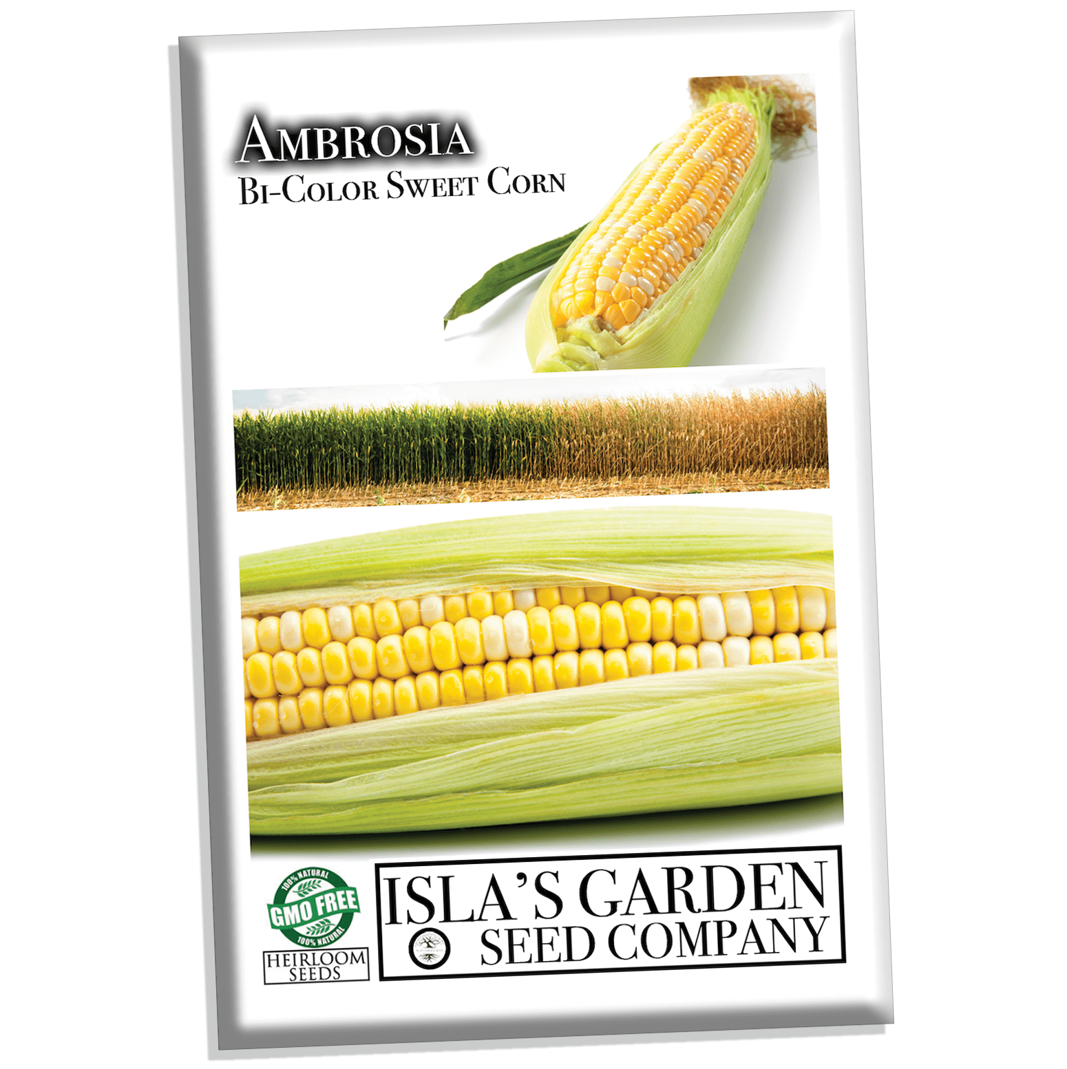 Ambrosia Hybrid Sweet Corn, 50+ Heirloom Seeds Per Packet, Non GMO See ...