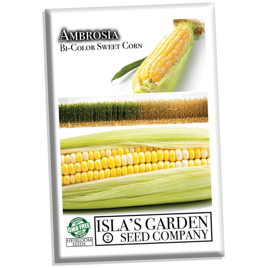 Ambrosia Hybrid Sweet Corn, 50+ Heirloom Seeds Per Packet, Non GMO Seeds, Botanical Name: Zea Mays
