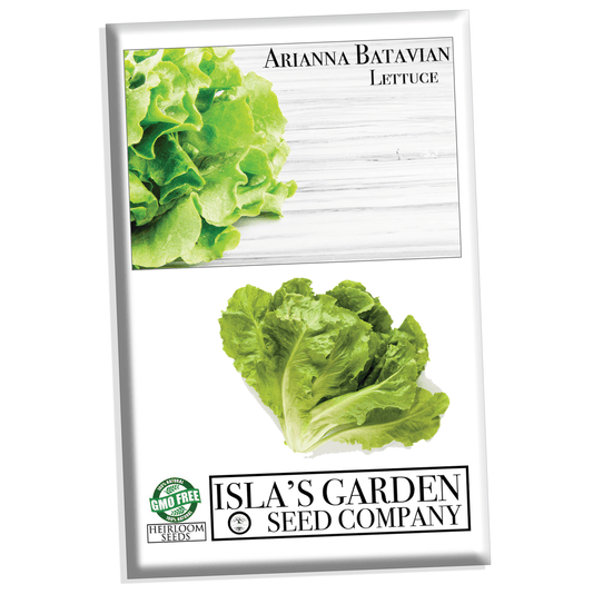 Arianna Romaine Batavian Lettuce Seeds, 1000+ Heirloom Seeds Per Packet, Non GMO Seeds