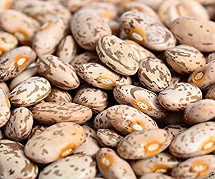 Pinto Bean Seeds, 30 Heirloom Seeds Per Packet, Non GMO Seeds