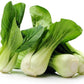 Pak Choi Cabbage, 500 Heirloom Seeds Per Packet, Non GMO Seeds