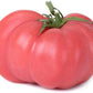 Pink Brandywine Tomato Seeds, 100 Heirloom Seeds Per Packet, Non GMO Seeds