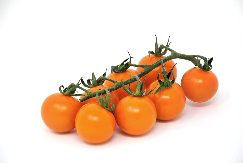 Orange Cherry Tomato Seeds