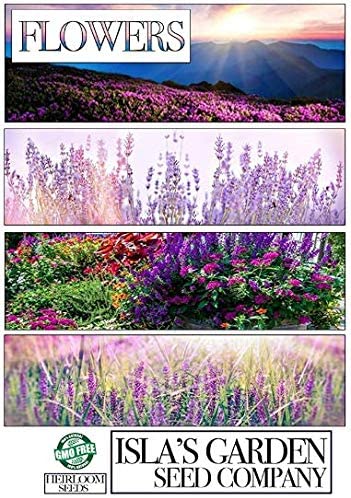 Cosmos Bright Lights Mix, 100 Heirloom Seeds Per Packet, Non GMO Seeds