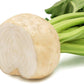 White Detroit Beet, 100 Heirloom Seeds Per Packet, Non GMO Seeds