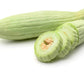 Armenian Pale Green Slicing Cucumber