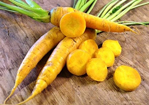 Yellowstone Pelleted Carrot, 100 Heirloom Seeds Per Packet, Non GMO Seeds