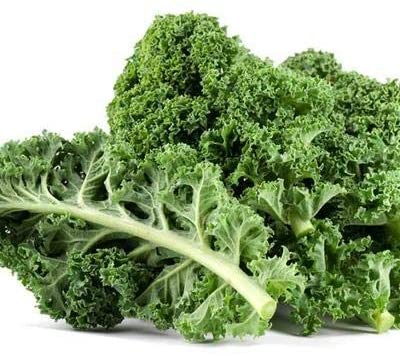 Dwarf Siberian Kale Seeds for Planting, 500+ Heirloom Seeds Per Packet, Isla's Garden Seeds , Non GMO Seeds, Botanical Name: Brassica oleracea, Great Home Garden Gift