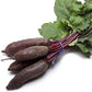 Cylindra Beet Seeds, 100 Heirloom Seeds Per Packet, Non GMO Seeds