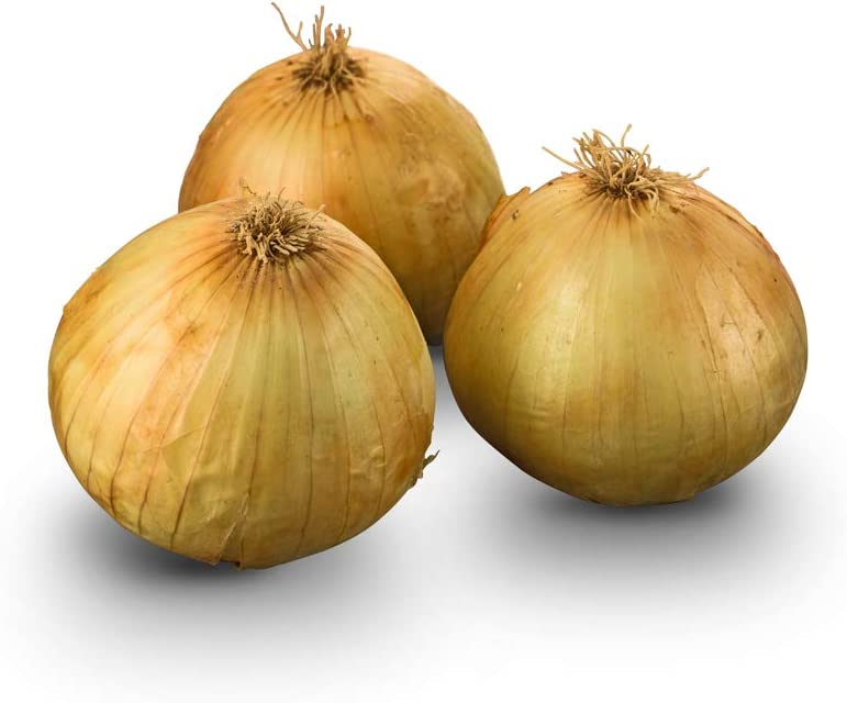 Texas Early Grano Onion, 300 Heirloom Seeds Per Packet, Non GMO Seeds