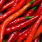 Cayenne Pepper Seeds, 100 Heirloom Seeds Per Packet, Non GMO Seeds