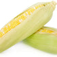 "Coastal" Bi-Color Sweet Corn Seeds, 50+ Seeds Per Packet, Non GMO Seeds, Botanical Name: Zea mays