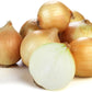 Safrane Hybrid Onion