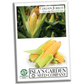 Golden Jubilee Yellow Sweet Corn Seeds, 30+ Seeds Per Packet, Non GMO & Heirloom Seeds, Botanical Name: Corn Zea mays