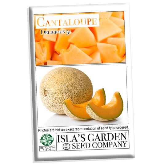 Delicious 51 Cantaloupe Seeds, 50+ Heirloom Seeds Per Packet, Non GMO Seeds