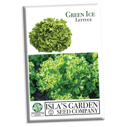 Green Ice Lettuce Seeds, 1000+ Heirloom Seeds Per Packet, Non GMO Seeds