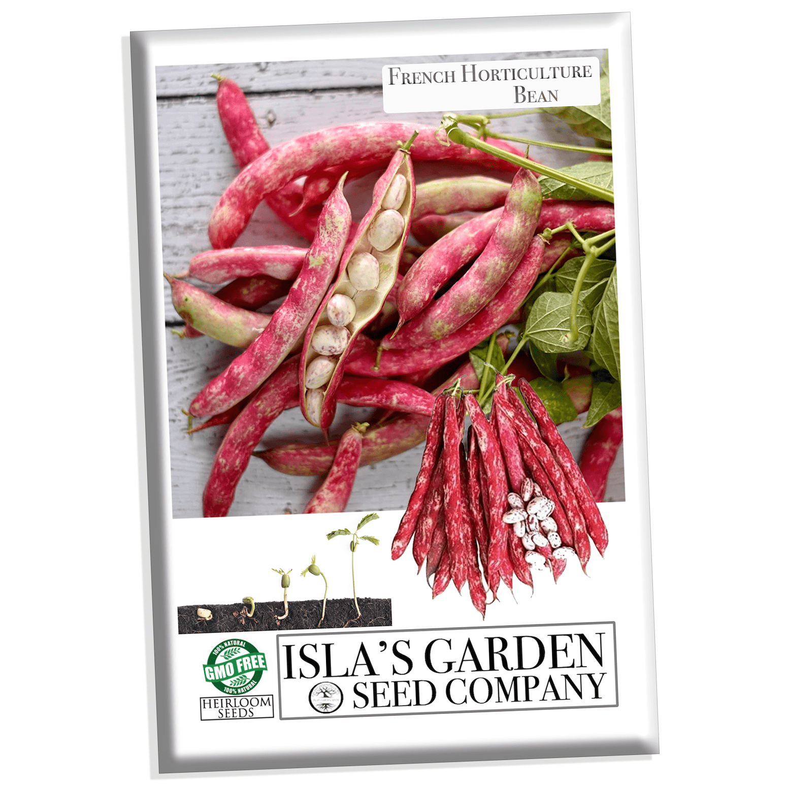 French Horticulture Bean Seeds for Planting, 50+ Heirloom Seeds Per Packet, Non GMO Seeds, aka. Borlotti Bean, Botanical Name: Phaseolus vulgaris