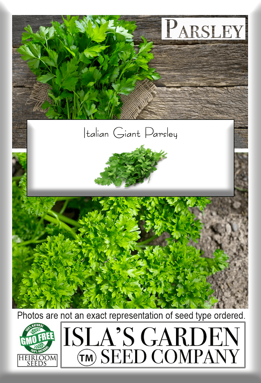 How to Grow Parsley in Pots and Containers Gardener’s Path How to Grow Parsley in Pots and Containers Gardener’s Path