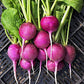 Purple Plum Radish, 150 Heirloom Seeds Per Packet, Non GMO Seeds