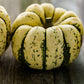 Sweet Dumpling Winter Squash, 50 Heirloom Seeds Per Packet, Non GMO Seeds