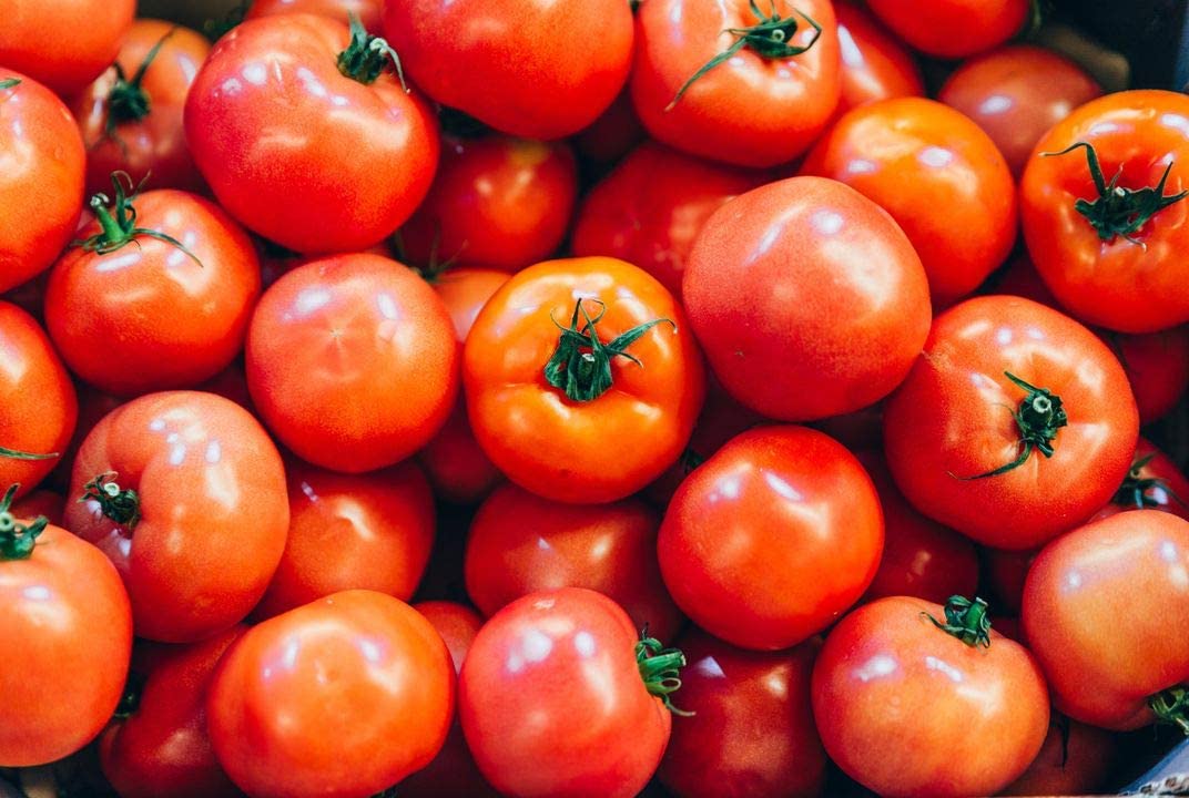 Rutgers Tomato, 100 Heirloom Seeds Per Packet, Non GMO Seeds