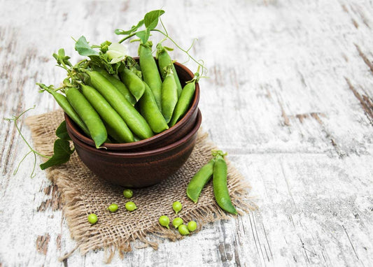 Sugar Daddy Snap Pea