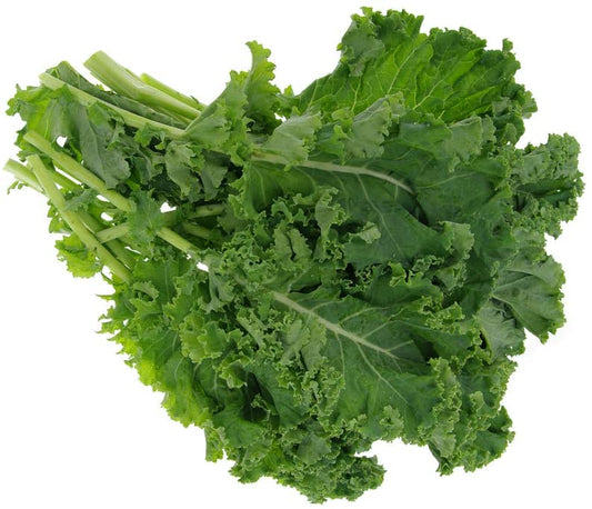 White Russian Kale Seeds for Planting, 1000+ Heirloom Seeds Per Packet, Isla's Garden Seeds , Non GMO Seeds, Botanical Name: Brassica Napus, Great Home Garden Gift