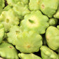 Bennings Green Tint Summer Squash, 30 Heirloom Seeds Per Packet, Non GMO Seeds