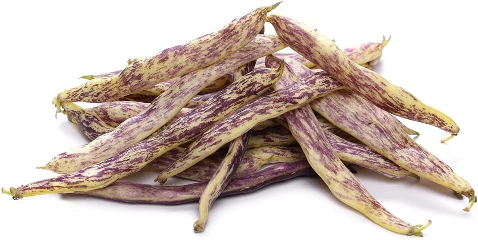 Dragon s Tongue Bush Bean Dragon Langerie 25 Heirloom Seeds Per Packet Non GMO Seeds