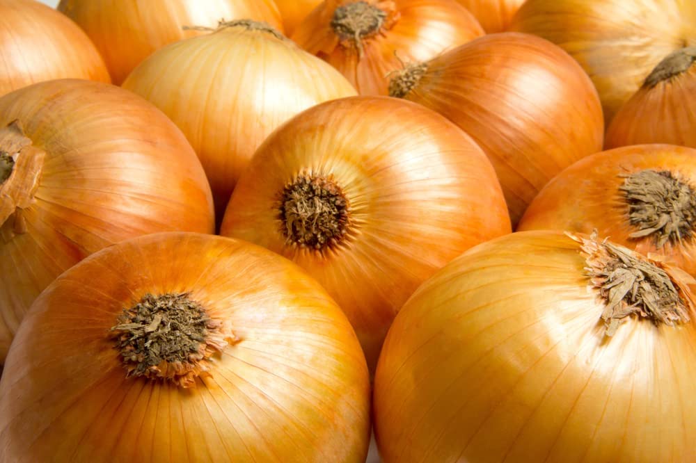 Yellow Sweet Spanish Onion Seeds, 750+ Heirloom Seeds Per Packet, Non GMO Seeds