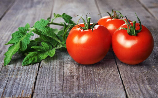 Cal Ace VF Tomato, 300 Heirloom Seeds Per Packet, Non GMO Seeds