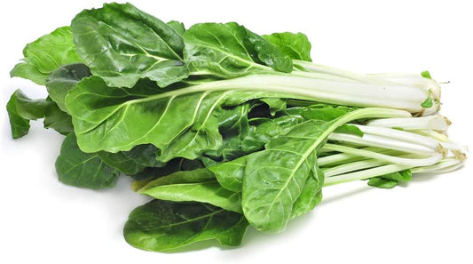 Silver Ice Swiss Chard