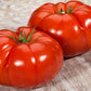 Delicious Giant Tomato, 50 Heirloom Seeds Per Packet, Non GMO Seeds