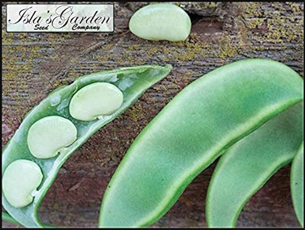 King of Garden Lima Pole Bean Seeds, 25 Heirloom Seeds Per Packet, Non GMO Seeds