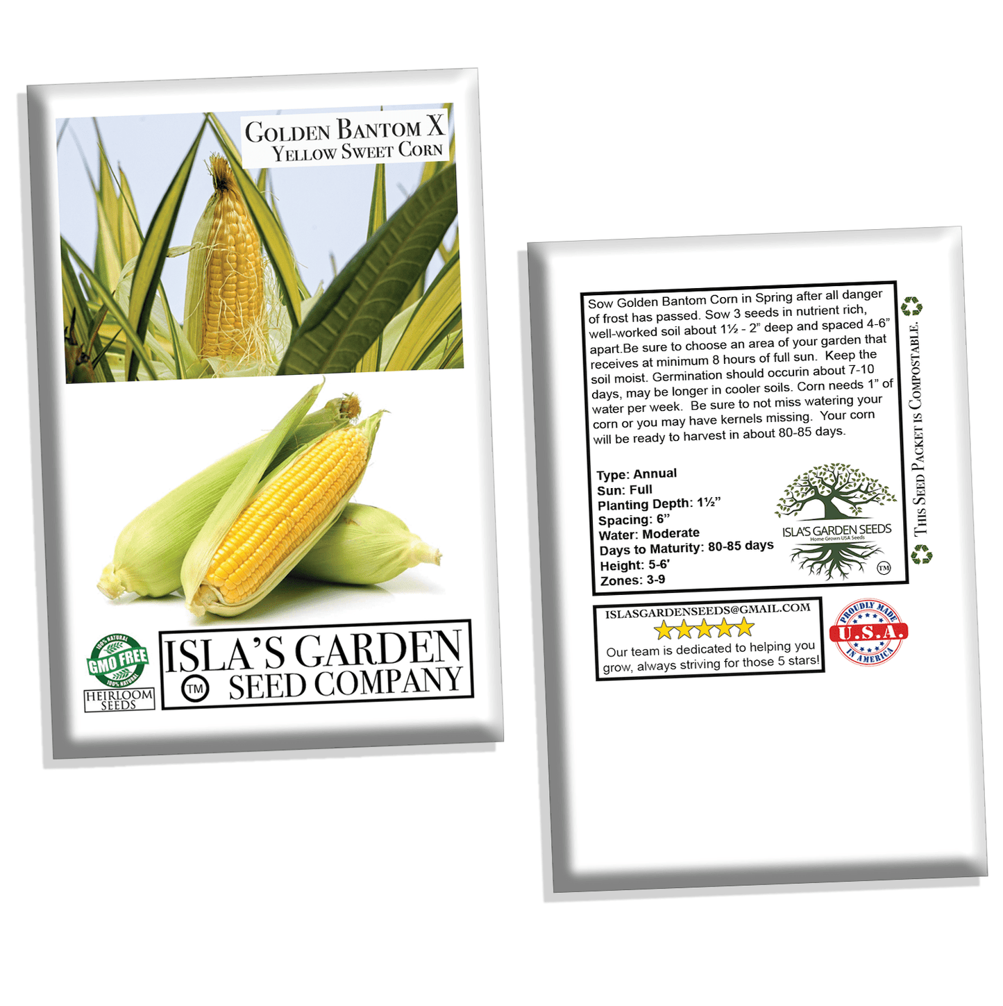 Golden X Bantom Sweet Corn Seeds, 50+ Heirloom Seeds Per Packet, Non GMO Seeds, Botanical Name: Zea mays