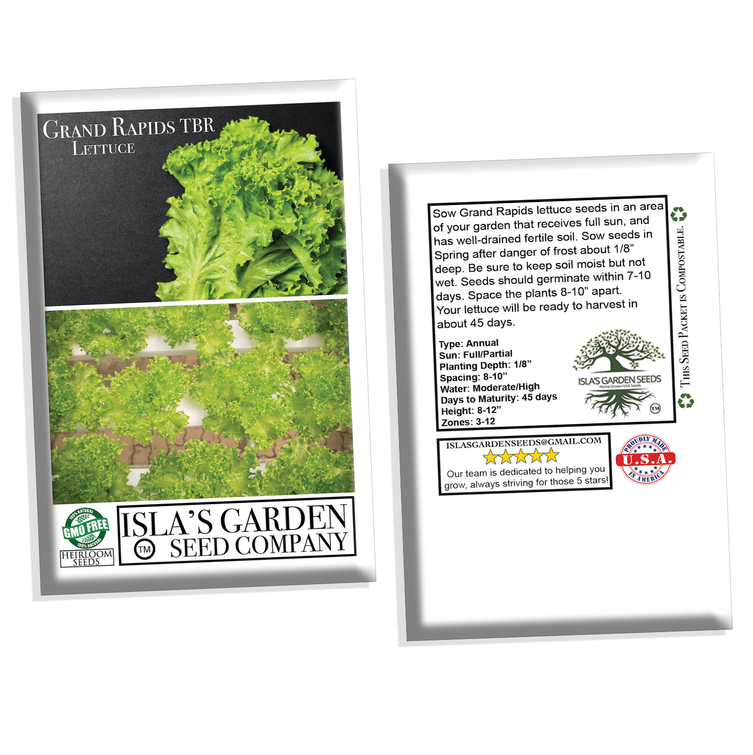 Grand Rapids TBR Lettuce Seeds, 1000+ Heirloom Seeds Per Packet, Non GMO Seeds, Botanical Name: Lactuca Sativa
