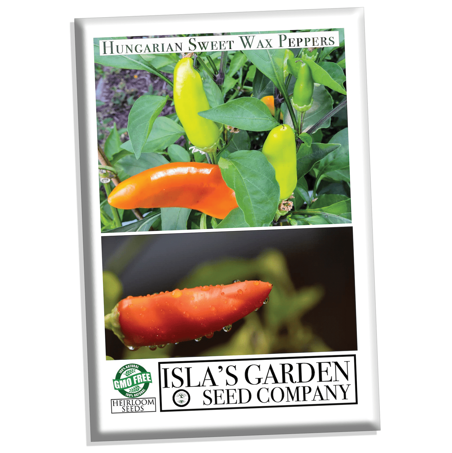 Hungarian Sweet Pepper Seeds, 100+ Heirloom Seeds Per Packet, Non GMO Seeds, Botanical Name: Capsicum annuum