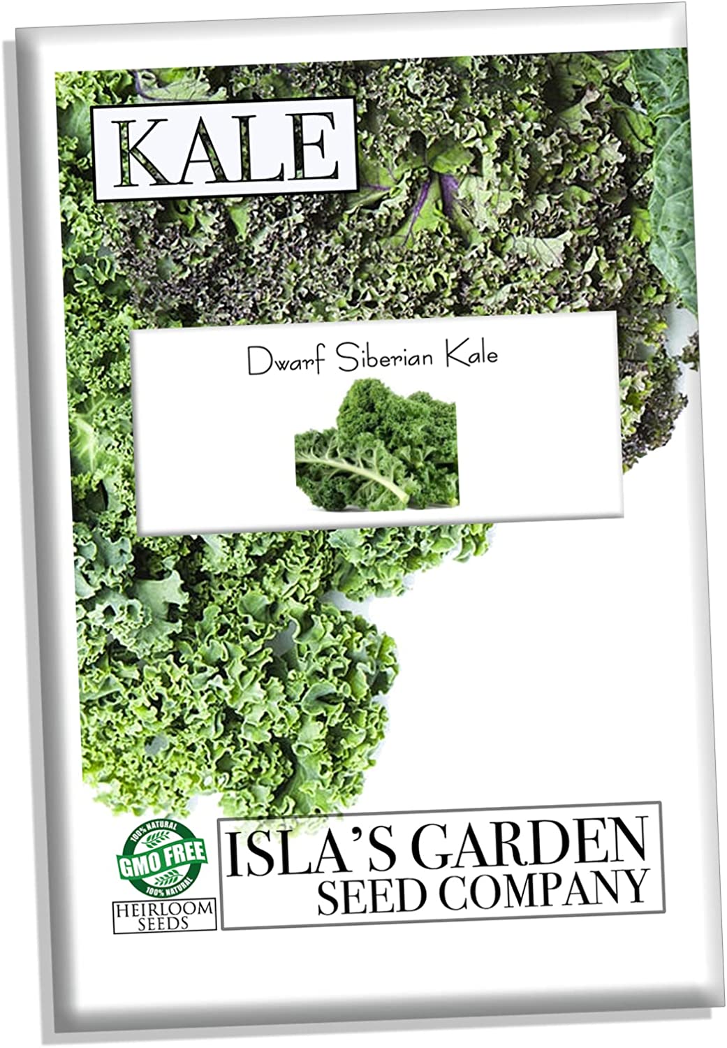 Dwarf Siberian Kale Seeds for Planting, 500+ Heirloom Seeds Per Packet, Isla's Garden Seeds , Non GMO Seeds, Botanical Name: Brassica oleracea, Great Home Garden Gift
